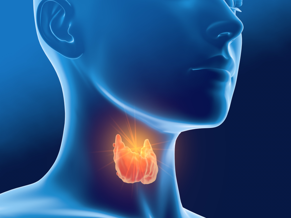 Maladies de la thyroïde